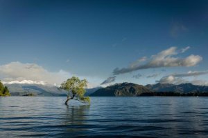 Image of JC Rooter & Plumbing