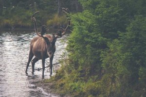 Image of My Lakewood Plumber Hero
