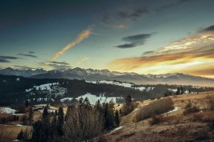 Image of My Lakewood Plumber Hero