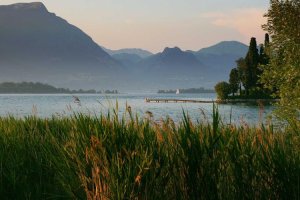 Image of ARK Plumbing