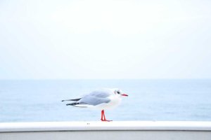 Image of Huntington Plumbing & Drain Company