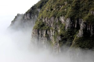 Image of Wish Granted Plumbing