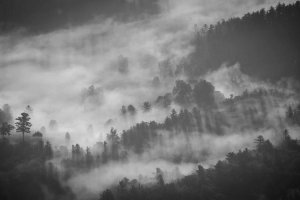 Image of Resolved Home Services