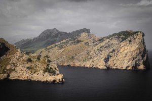 Image of Top Shelf Plumbing Solutions