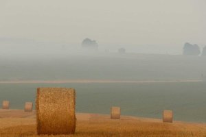 Image of Eco Green Carpet Cleaning - Long Beach