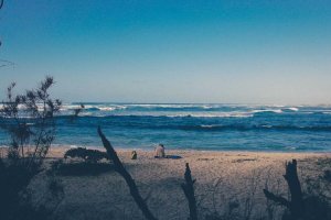 Image of Eco Green Carpet Cleaning - Long Beach