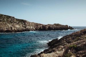 Image of Martin's Carpet Cleaning & Restoration