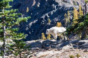 Image of Martin's Carpet Cleaning & Restoration
