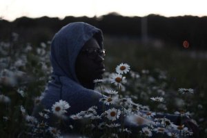 Image of New Day Carpet Cleaners