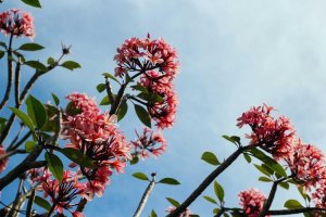 Image of Streamline Plumbing