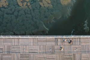 Image of New Day Carpet Cleaners