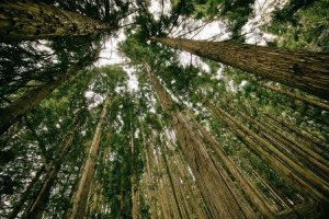 Image of Good Plumbing Supply