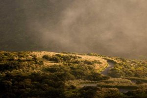 Image of Sunny Hills Cleans