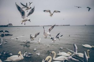 Image of Orange County Kwik Dry Total Cleaning