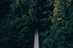 Image of Santa Ana Steam Carpet Cleaning