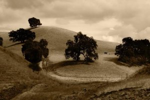 Image of Jacot Plumbing, Inc.