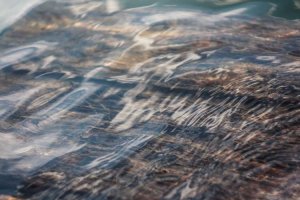 Image of Kashan Area Rug Cleaning & Repair Service