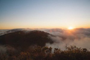 Image of West Coast Carpet Cleaning