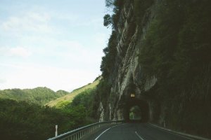 Image of Steam Brothers Carpet Cleaning And More