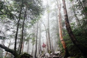 Image of Velvet Plumbing