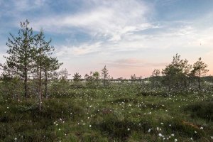 Image of LiMar Painting and Design