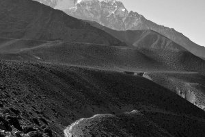 Image of Pedro Painting