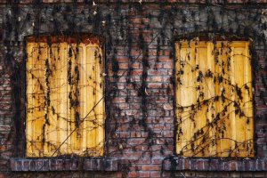 Image of Pedro Painting