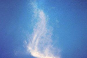 Image of Texas Professional Painting