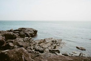 Image of Tex Painting