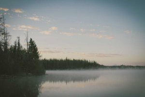 Image of Fresh Coat Painters