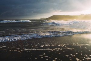 Image of Hernandez painting and remodeling