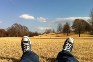 Image of Dallas Paints