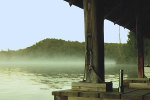 Image of Dallas Paints