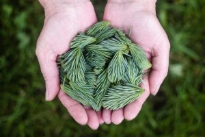 Image of Spray Tex Painting