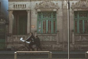 Image of White Magnolia Landscaping 