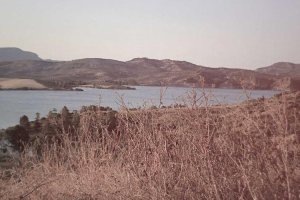 Image of Florida Painters