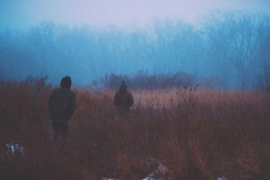 Image of Florida Painters