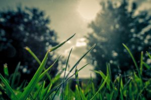 Image of Omar painting services LLC