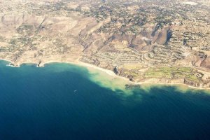 Image of Paisley Painting