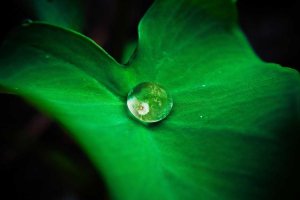 Image of Jose's Painting Services