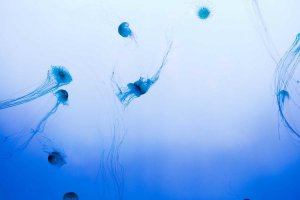 Image of Master Wash Inc Mobile FleetWash