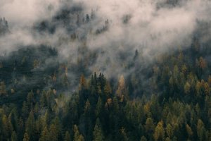 Image of Always Under Pressure, Anaheim, CA