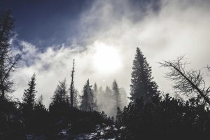 Image of Always Under Pressure, Anaheim, CA