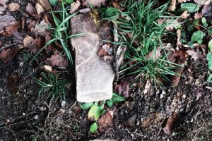 Image of Do it all power washing