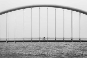 Image of ThePressureWashingPros