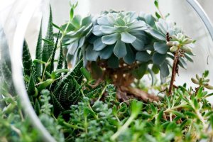 Image of A-1 Pressure Washer Services