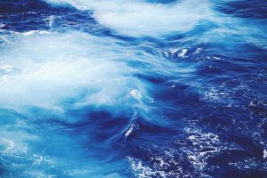 Image of Pure Wash Los Angeles