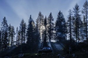 Image of Bear Power Wash Los Angeles