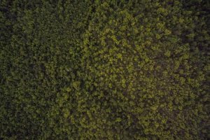 Image of Bear Power Wash Los Angeles