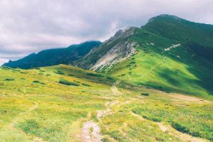 Image of 661-Pressure